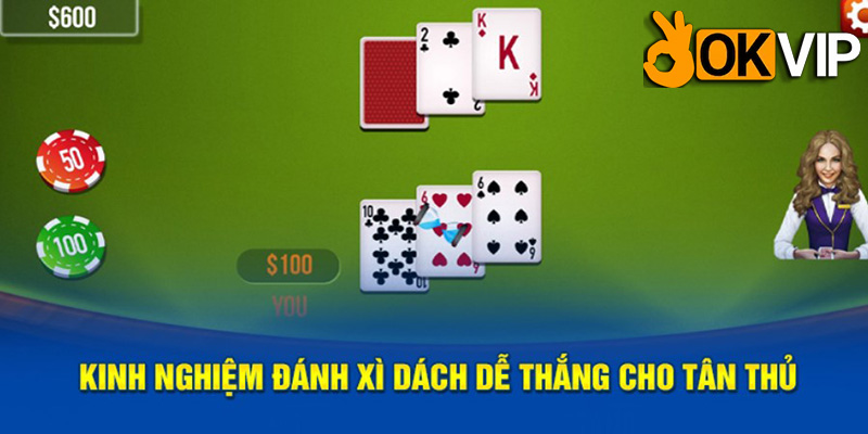 Mô hình tổ chức trận đấu